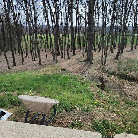 Maison Piscine Chauffee 別荘 *